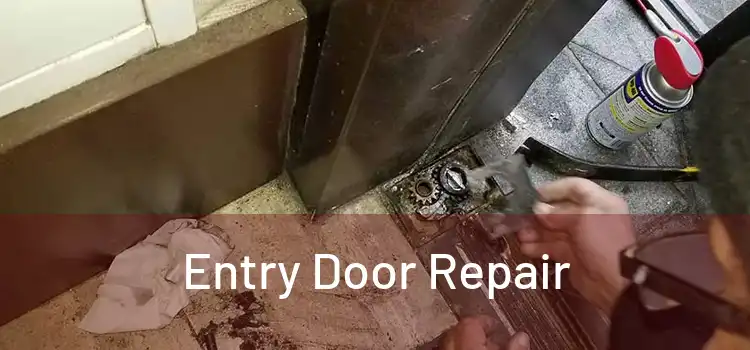 Entry Door Repair